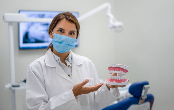 Best Broken or Chipped Tooth Repair in Brent, FL